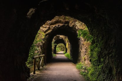 Mítica ruta entre cañones, puentes y bosques, que discurre por una de las vías verdes más cuidadas y transitadas de toda Asturias. Idónea para realizar en familia por su trazado sencillo (es una senda peatonal, de baja dificultad y bien señalizada), se disfruta todavía más en bicicleta. La Senda del Oso, muy sencilla y asequible, pasa por los concejos de Quirós, Santo Adriano, Proaza y Teverga, y su punto álgido es un cercado para osos pardos cantábricos que deja ojipláticos a los más pequeños.