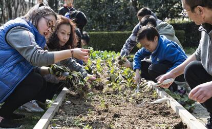 El orfanato cuenta con un huerto en el que los internos plantan sus propias verduras. 