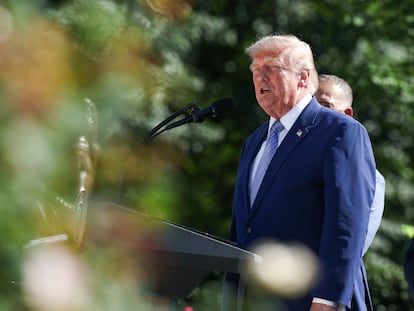 Donald Trump tariffs
