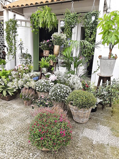 Espectáculo floral. No es fácil encontrar un establecimiento donde dominen el arte floral con gusto y cierto toque vanguardista. Flores y Cia. es una floristería que abrió hace tres años. Su dueña, Bego Calzada, es artista y la conozco desde niño. Bego tuvo una tienda de muebles añorada, La Ralua, preciosa, y ahora se dedica a las flores. Su sensibilidad pictórica se hace muy patente en los brillantes escaparates que monta en su calle, son un auténtico espectáculo (Canalejas, 76).