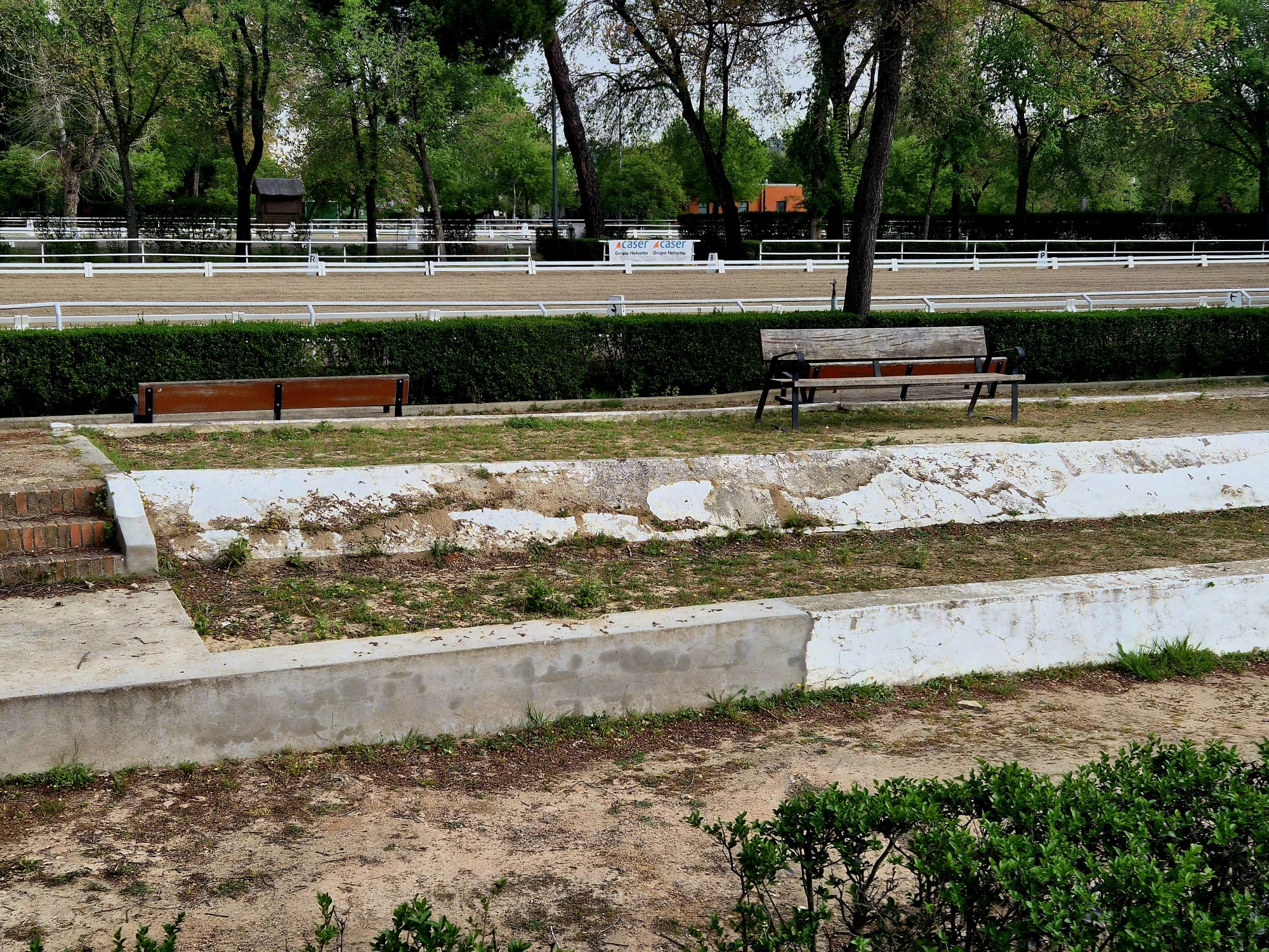 Los usuarios del Club de Campo de Madrid denuncian el deterioro de la hípica: “Con Carmena funcionaba mejor”