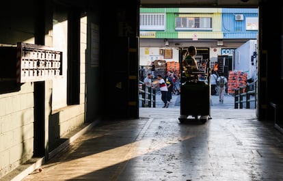 El mercado de frutas y verduras cuenta con siete naves, una de ellas dedicada exclusivamente a plátanos. Allí operan alrededor de 115 empresas repartidas en 342 puestos de venta, que emplean a cerca de 2.600 personas.