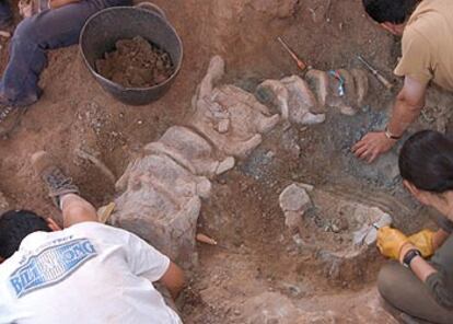 Excavación de un nuevo dinosaurio en el yacimiento del Oterillo (Burgos).