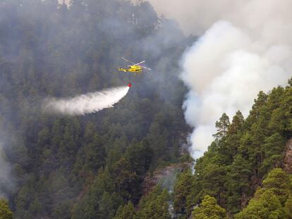 Incendio de isla de La Palma de hace unos días, en la zona del Parque Nacional de La Caldera de Taburiente, que volvió a reactivarse el viernes.