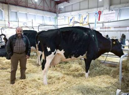 Manuel Francisco Penabad, elegido mejor criador en Silleda, junto a su vaca <i>Agrortegal Galletera Juror</i>, Gran Campiona de Galicia.