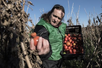 Gran parte de los productos frescos que terminan en la basura en los campos españoles se debe a razones estéticas.