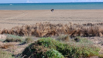 Playas de El Saler y Pinedo tras el trasvase de tres millones de metros cúbicos de arena, en octubre de 2023.