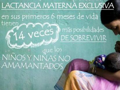 Leche materna, la primera ‘vacuna’