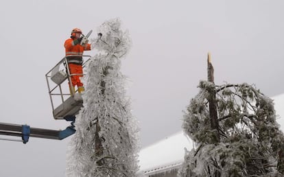 Un trabajador corta la parte superior de un rbol cubierto de hielo en Postojna (Eslovenia).