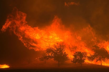 Unas 300 casas han tenido que ser evacuadas en las últimas horas debido al avance de las llamas del incendio declarado en Santa Clarita, California, Estados Unidos, que ya ha devastado unos 1.300 hectáreas, según el último balance del Departamento de Bomberos del Condado de Los Ángeles. En la imagen, llamas cerca de Santa Clarita, California.