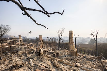 Las ruinas de varias casas, con las chimeneas como único punto que ha permanecido en pie, en Pacific Palisades, California.