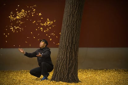 Un hombre lanza hojas caídas del árbol en un parque de Pekín (China).