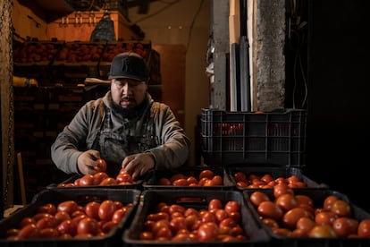 Trabajador del mercado mayorista de Ciudad de México.