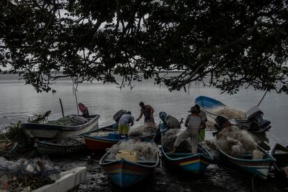 Pescadores trabajan en una laguna de Veracruz, en México.