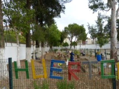 Huerto del centro escolar Manuel Altolaguirre del Polígono Sur.