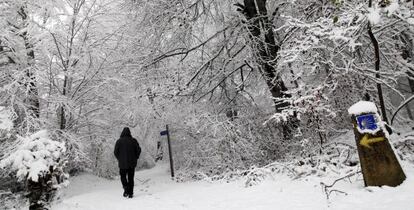 Valle de Erro (Navarra) donde la cota de nieve se ha situado en los 400 metros.