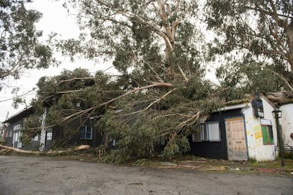 Vista de un árbol que ha caído y dañado la capilla de la Ciudad de los Muchachos en Benposta (Galicia), el 3 de febrero de 2017.  