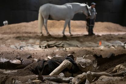 Un caballo recorre la superficie de una fosa común, durante uno de los ensayos de 'Resurección' en el Teatro Colón de Buenos Aires