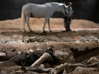 Un caballo recorre la superficie de una fosa común, durante uno de los ensayos de 'Resurección', en el Teatro Colón de Buenos Aires.