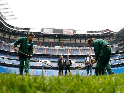 Labores de mantenimiento en el césped del Santiago Bernabéu.