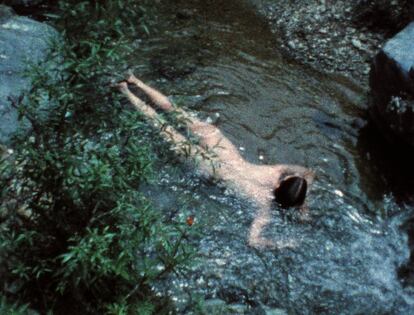 Creek (Arroyo), 1974