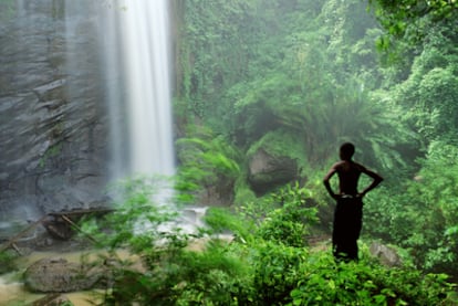 Salto de agua en el parque nacional del Grand Etang, en la isla caribeña de Granada