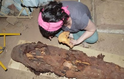 Una investigadora de la universidad de Jaén analiza una de las momias halladas en las excavaciones.