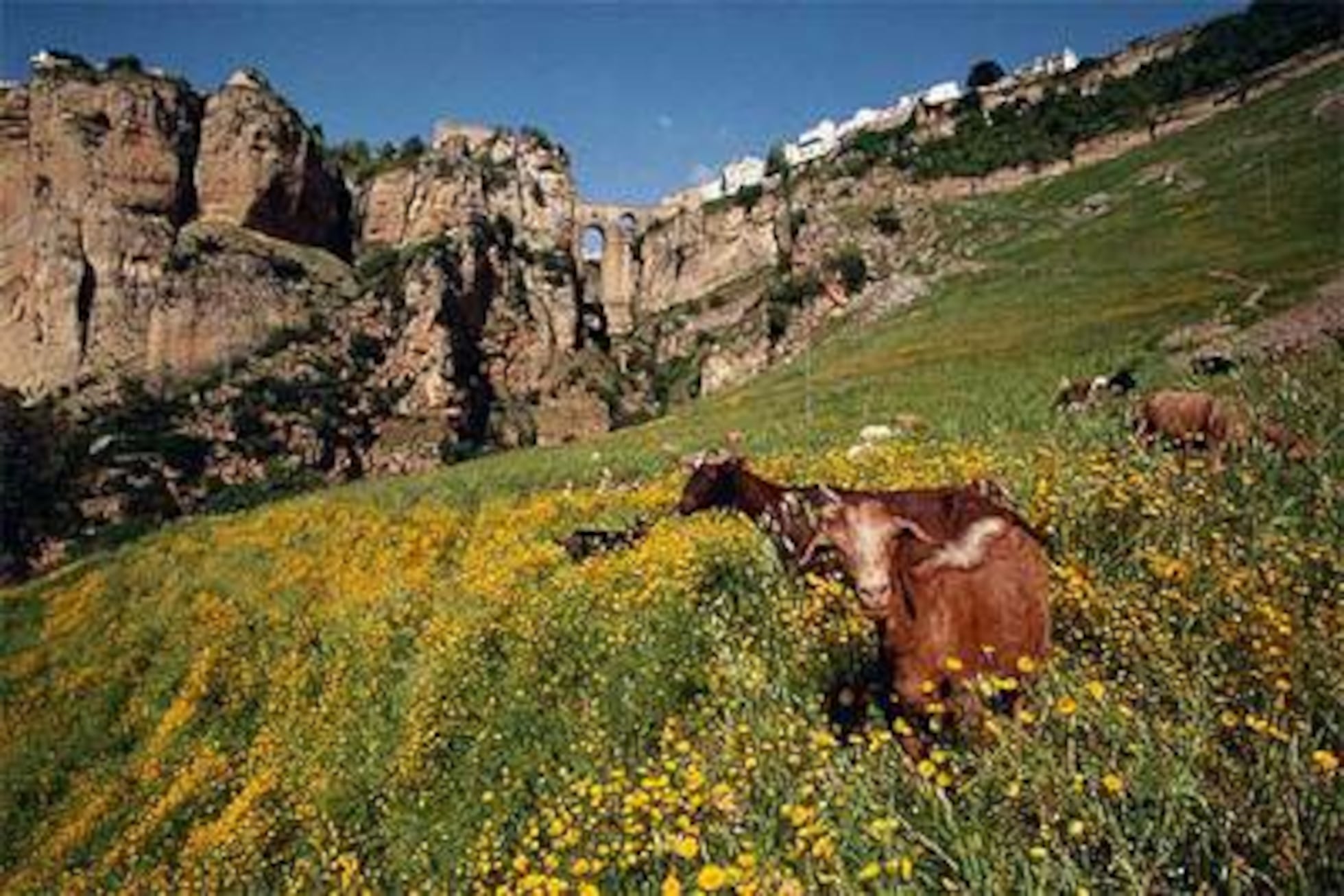 De Ronda a Tarifa, a pie y en tren | El Viajero | EL PAÍS, image size:1960x1308