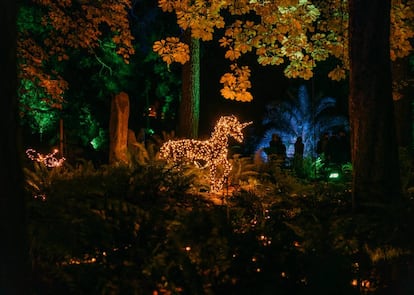 El Jardín Botánico estrena una instalación lumínica que traslada a un bosque encantado y la capital introduce nuevos diseños en calles hasta este año sin iluminar. |