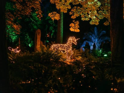 El Jardín Botánico estrena una instalación lumínica que traslada a un bosque encantado y la capital introduce nuevos diseños en calles hasta este año sin iluminar. |