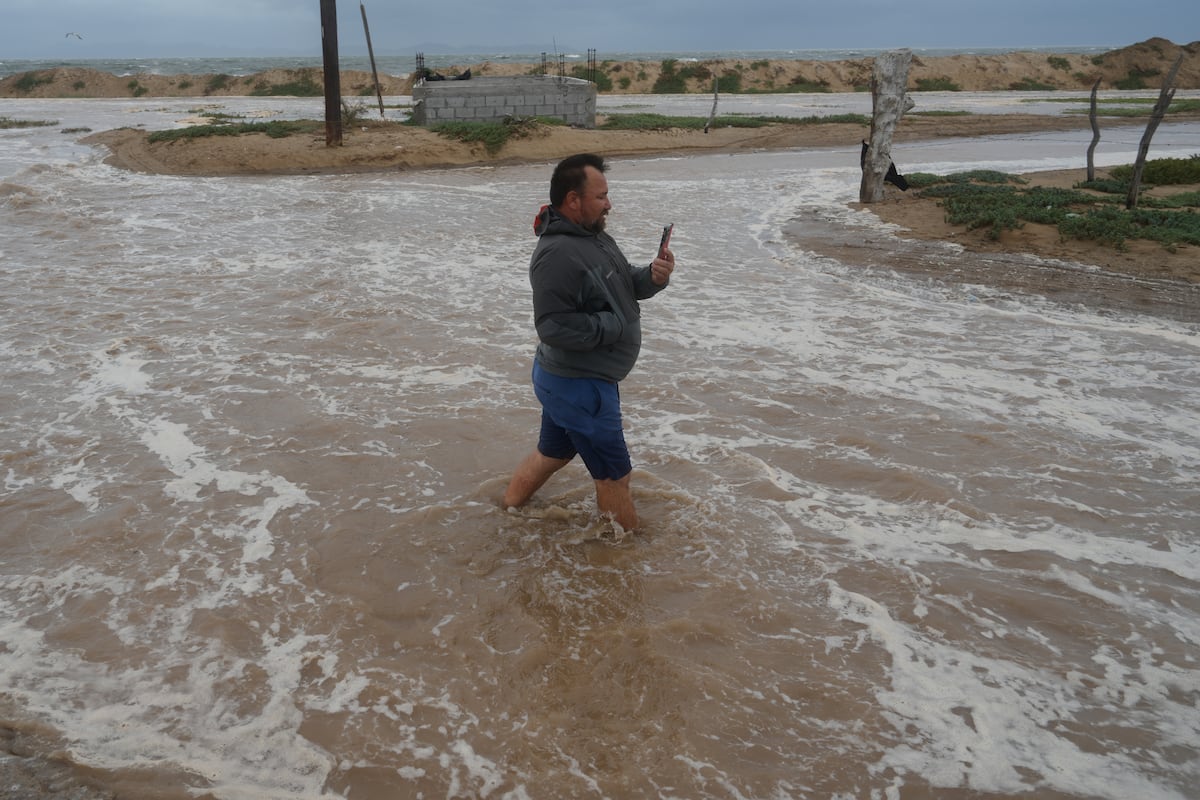 Essential Hurricane Safety Guide: Preparedness and Emergency Tips - News Directory 3