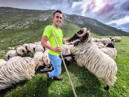 Raúl Roiz, pastor de Bejes, con sus ovejas en los pastos estratosféricos del macizo de Ándara.