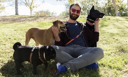 Dani Rovira no pudo tener perros de niño. Ahora, vive con tres: 'Carapapa', 'Buyo' y 'Lobo'. Sus nombres aparecen en el buzón de su casa de Madrid. La primera en llegar fue 'Carapapa', una carlino negra de cinco años. “Mi pareja y yo le pusimos ese nombre porque en Andalucía se utiliza como insulto cariñoso”. El cómico dice que por la calle la llama 'Cara', para no avergonzarla. Poco después adoptó a 'Buyo', un mestizo al que le encanta jugar con la pelota. “Cuando ve una, se lanza a por ella. Como yo, que fui portero de chico”. Le llamó Paco Buyo, en honor al exguardameta del Real Madrid. Hace un año, Rovira acogió temporalmente a 'Lobo', otro perro mestizo. Pero se lo quedó.  <u><a href="https://elpais.com/elpais/2016/10/20/eps/1476914720_147691.html" target="_blank">Sigue leyendo su historia</a></u>