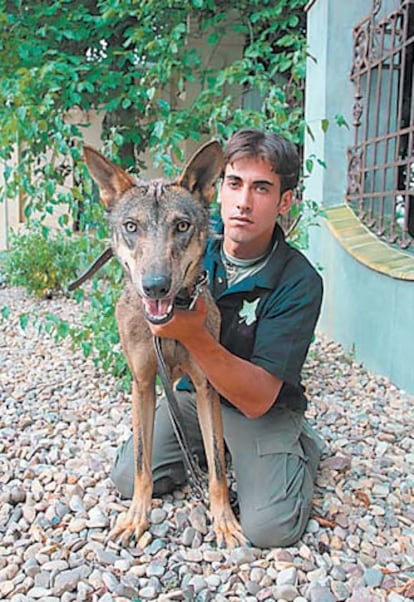 Fernando, con su lobo ibérico, <i>Richi.</i>