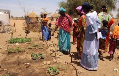 Mulheres mostram a horta mantida graças à água da cisterna. 