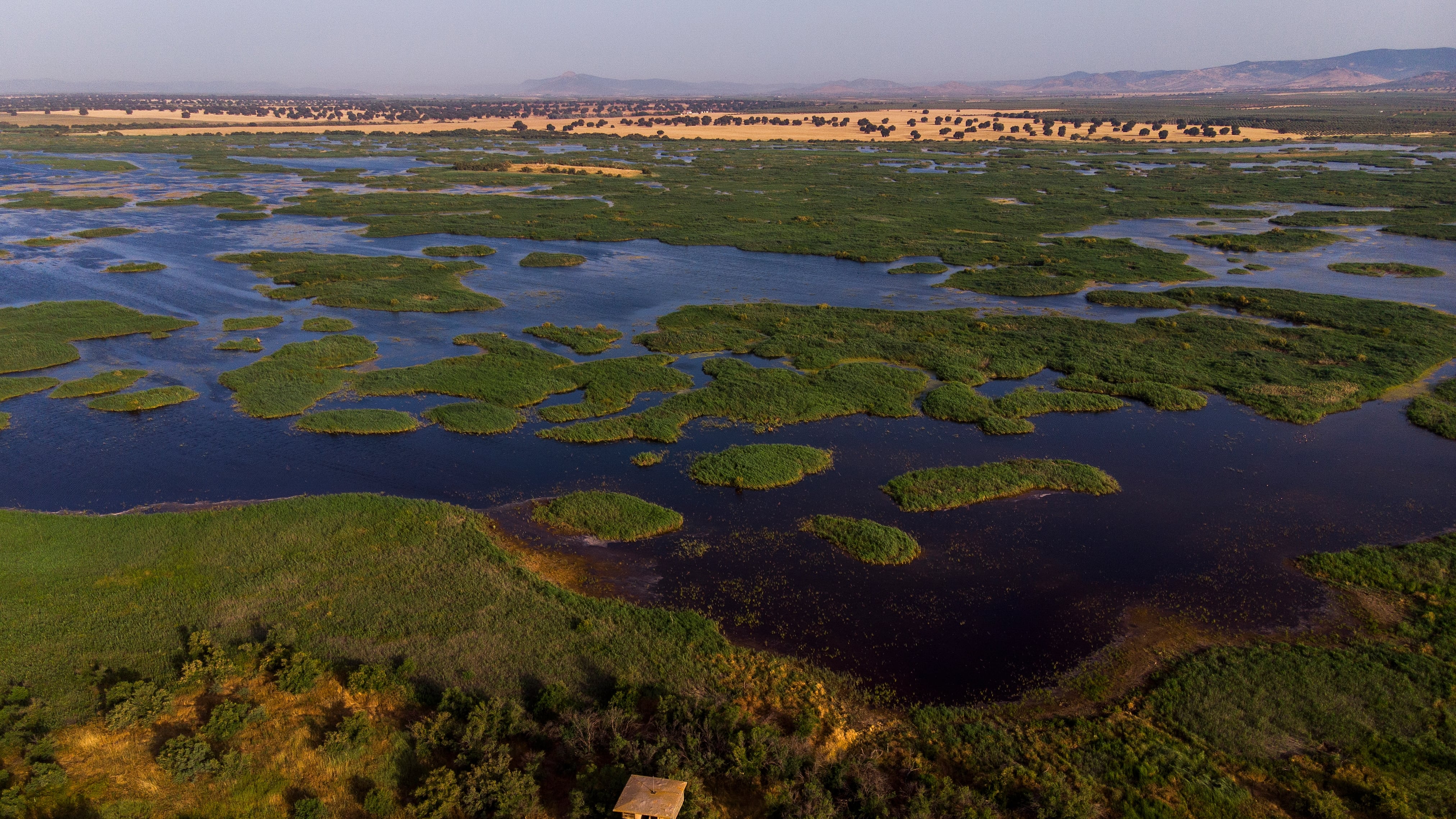 Así se ve desde el aire el renacer de Las Tablas de Daimiel: las lluvias dan un respiro al parque nacional, pero es un espejismo