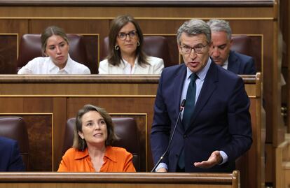 El líder del PP, Alberto Núñez Feijóo, durante su intervención en el Congreso este miércoles, 