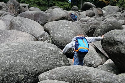 Felsenmeer (o mar de rocas), en la Selva de Oden (Alemania).