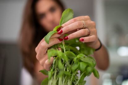 Fehn preparing basil leaves.