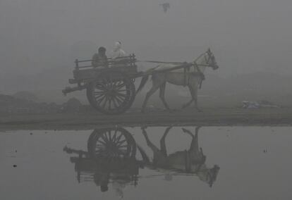 Un hombre paquistaní circula entre la niebla en un carro de caballos, en Lahore (Pakistán).