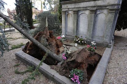 El cementeri de Terrassa, tancat pels efectes del temporal.