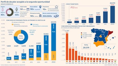 Perfil de deudor acogido a la segunda oportunidad