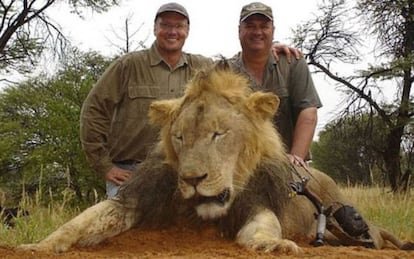 El asesino del le&oacute;n Cecil, el dentista Walter Palmer (izquierda), con otro trofeo abatido en 2008.