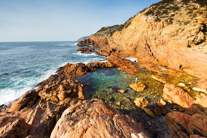 Gran Bahía Australiana. Si se mira hacia el este desde la población de Eucla a lo largo de la árida costa meridional de Australia, parece que este monstruoso acantilado marino no tiene fin. Paredes de entre 60 y 120 metros de altura formadas por una pálida roca sedimentaria se extienden sin interrupción por un espacio vacío azotado por el océano. Aunque pocos humanos frecuentan esta apartada región bordeada por la solitaria llanura de Nullabor, hay muchos seres vivos que han evolucionado para sobrevivir en este medio hostil, entre ellos cientos de leones marinos, exuberantes dragones de mar foliados y manadas de ballenas francas australes, que hibernan frente a sus costas. Se las puede ver, de julio a septiembre, desde el mirador del Head of Bight, a 78 kilómetros al oeste de Yalata.