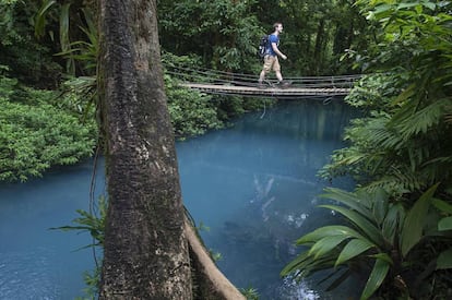 Puente colgante en el parque nacional Volcán Tenorio.