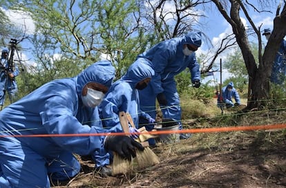 Peritos de la Fiscalía General de Justicia trabajan fosa donde fueron hallados los restos de los yaquis desaparecidos en el municipio de Cajeme, Sonora.