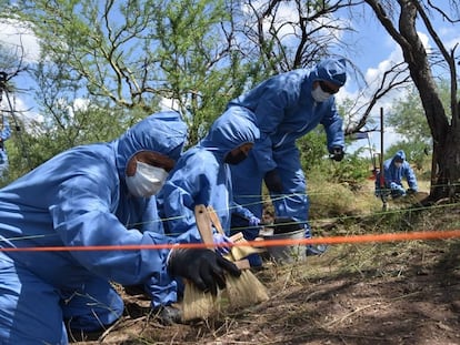 Peritos de la Fiscalía General de Justicia trabajan fosa donde fueron hallados los restos de los yaquis desaparecidos en el municipio de Cajeme, Sonora.