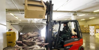 Mercado de pescado de Reykjavik (Islandia).