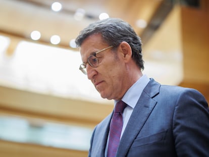 El presidente del PP, Alberto Núñez Feijóo, el día 21 en el pleno del Senado.