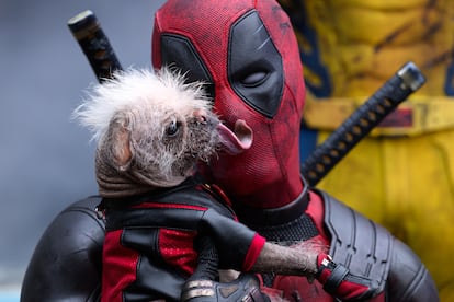 Ryan Reynolds como Deadpool y Dogpool.